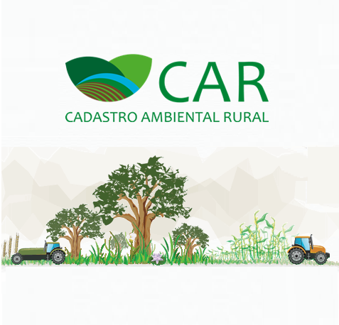 Emissão CAR 3